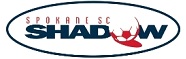 Shadow logo